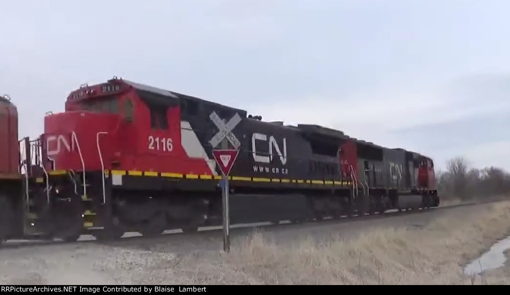 CN A431